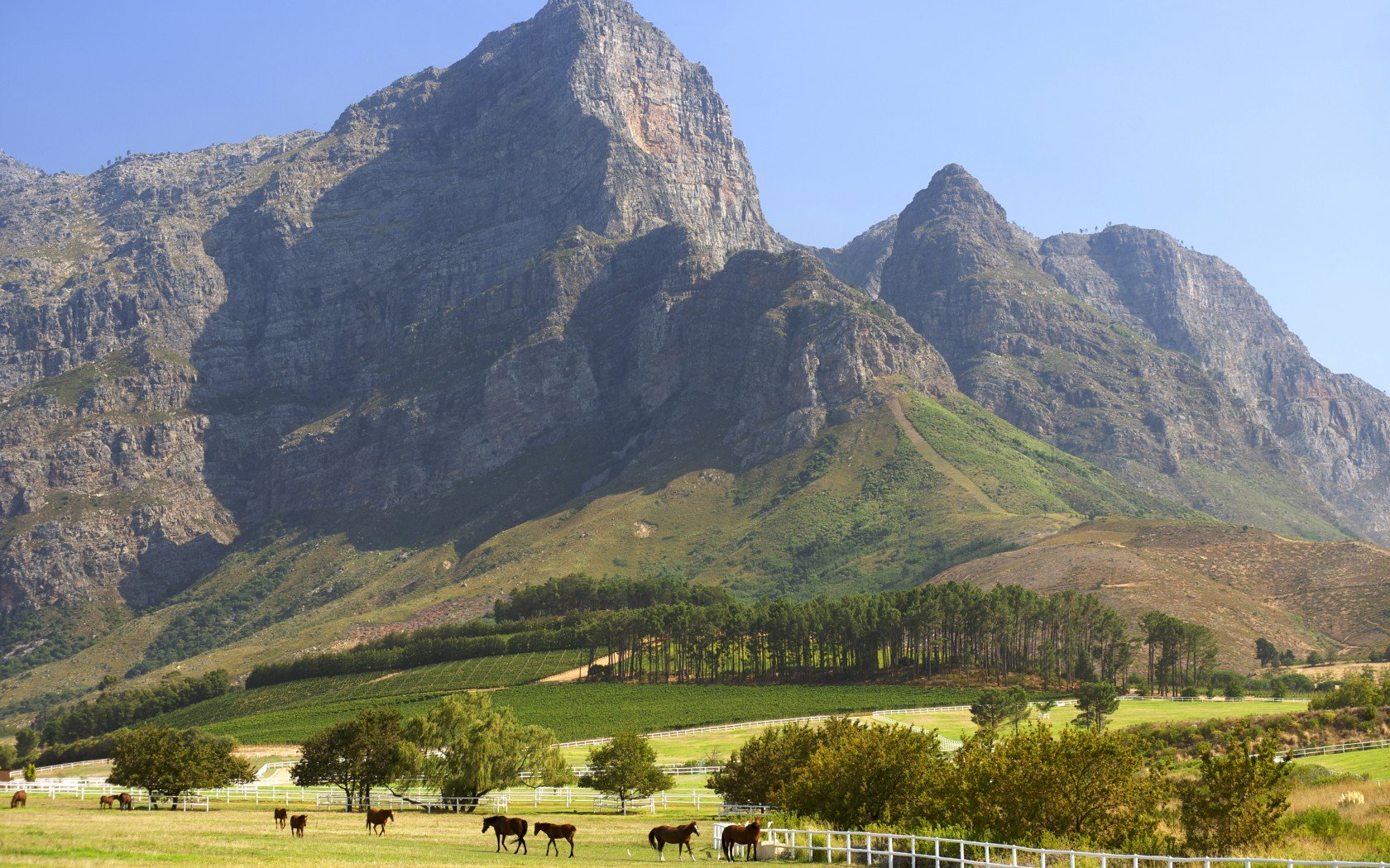 The Winelands, South Africa